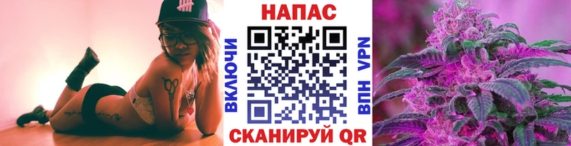 omg как войти  Белёв  МАРИХУАНА сатива 